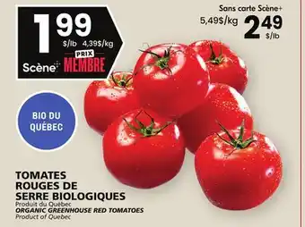 Rachelle-Bery Grocery Organic greenhouse red tomatoes offer
