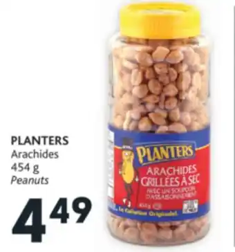 Brunet Planters arachides offer