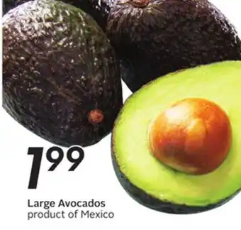 Sobeys Large avocados offer