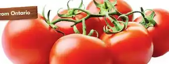 Sobeys Tomatoes on the vine offer