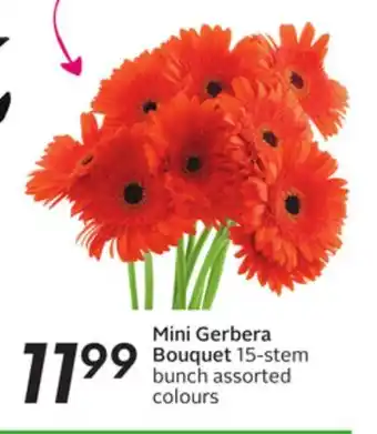 Sobeys Mini gerbera bouquet offer