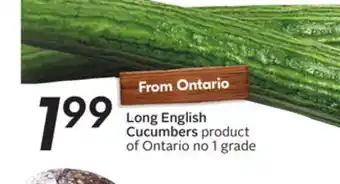 Sobeys Long english cucumbers offer