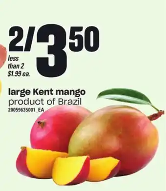 Loblaws Large kent mango offer