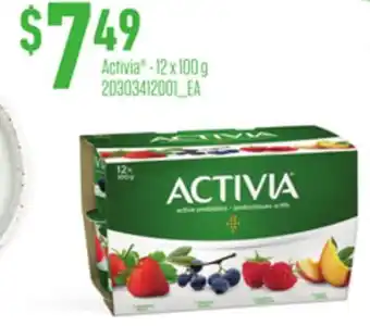 Loblaws Activia - 12 x 100 g offer
