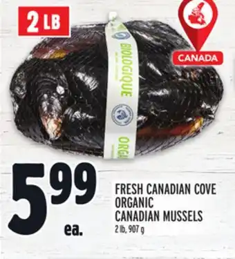 Metro Fresh canadian cove organic canadian mussels offer