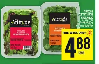 Food Basics Fresh attitude salads offer