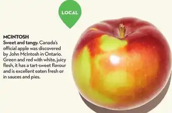 Longo's Fresh mcintosh apple offer