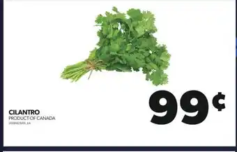 Real Canadian Superstore Cilantro offer