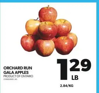 Real Canadian Superstore Orchard run gala apples offer