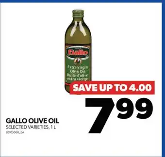 Real Canadian Superstore Gallo olive oil, 1 l offer