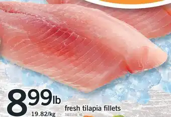 Fortinos Fresh tilapia fillets offer