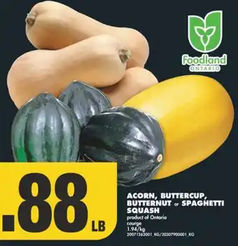 No Frills Acorn, buttercup, butternut or spaghetti squash offer