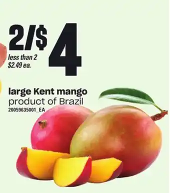 Independent Grocer Large kent mango offer