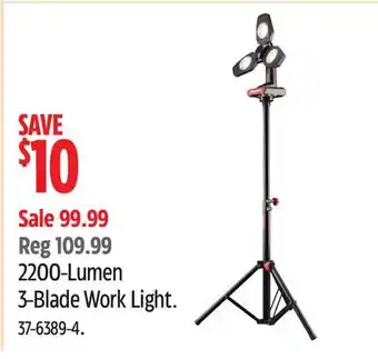 Canadian Tire Motomaster offer