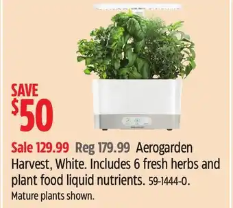 Canadian Tire Aerogarden harvest, white offer
