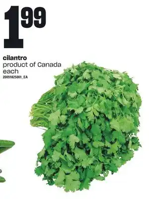 Loblaws Cilantro, each offer