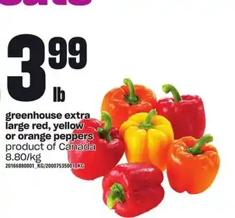 Loblaws Greenhouse extra large red, yellow or orange peppers offer