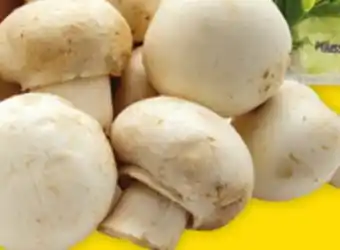 Giant Tiger Whole white mushrooms offer