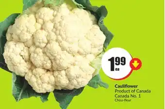 FreshCo Cauliflower product of canada no. 1 offer