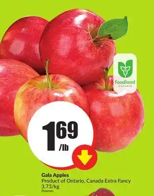 FreshCo Gala apples product of ontario, canada extra fancy 3.73/kg offer