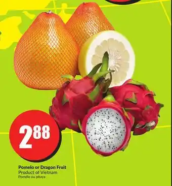 FreshCo Pomelo or dragon fruit product of vietnam offer
