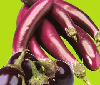 FreshCo Indian or chinese eggplant product of dominican republic 3.73/kg offer
