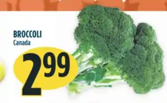 Marché Adonis Broccoli offer