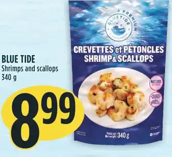 Marché Adonis Blue tide shrimps and scallops offer