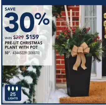RONA Pre-lit christmas plant with pot offer