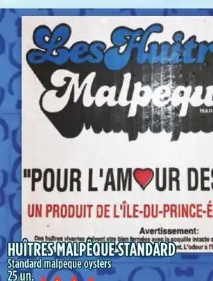 Marché Adonis Huîtres malpêque standard offer