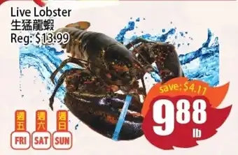 Field Fresh Supermarket Live Lobster offer