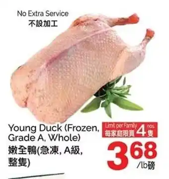 T&T Supermarket Young Duck (Frozen, Grade A, Whole) offer