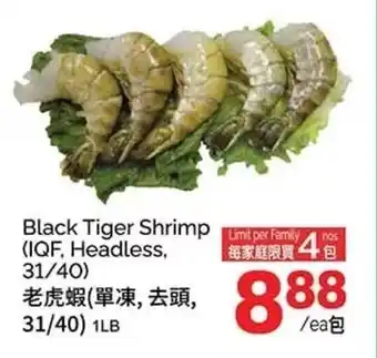 T&T Supermarket Black Tiger Shrimp (IQF, Headless, 31/40) 1LB offer