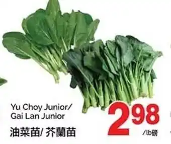 T&T Supermarket Yu Choy Junior/ Gai Lan Junior offer