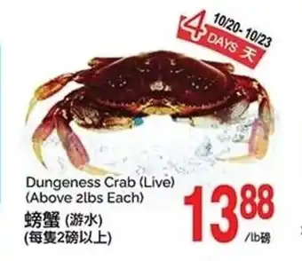 T&T Supermarket Dungeness Crab (Live) (Above 2lbs Each) offer