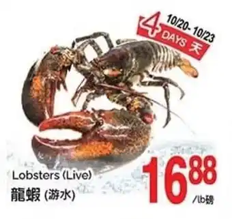 T&T Supermarket Lobsters (Live) offer