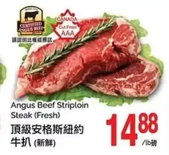 T&T Supermarket Angus Beef Striploin Steak (Fresh) offer