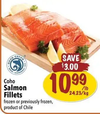 Farm Boy Coho salmon fillets offer