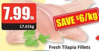 Starsky Fresh tilapia fillets offer