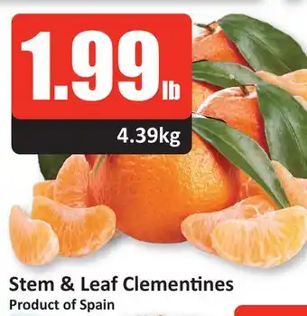 Starsky Stem & leaf clementines offer