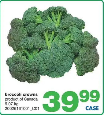 Wholesale Club Broccoli crowns offer