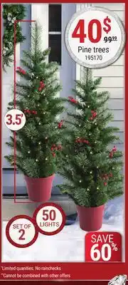 Rossy Pine trees offer