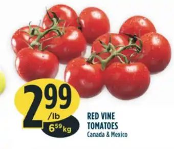 Marché Adonis Red vine tomatoes offer