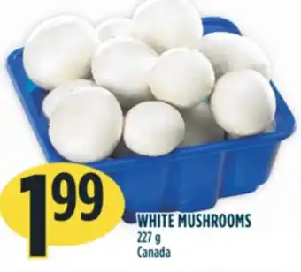Marché Adonis White mushrooms offer
