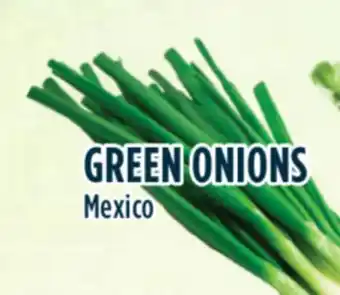 Marché Adonis Green onions offer