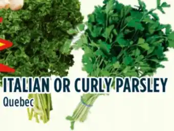 Marché Adonis Italian or curly parsley offer