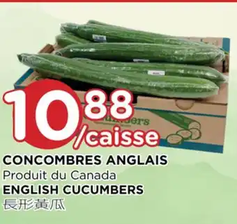 Kim Phat English cucumbers offer