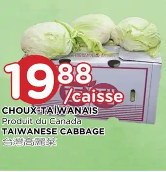 Kim Phat Taiwanese cabbage offer