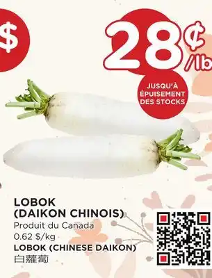 Kim Phat Lobok (chinese daikon) offer