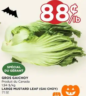Kim Phat Large mustard leaf (gai choy) offer